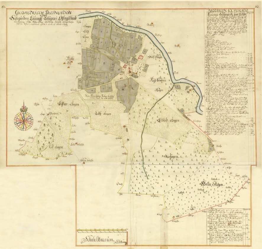 Ljung Östergötland
